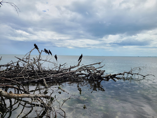 Cayo La Matita - Thumbnail