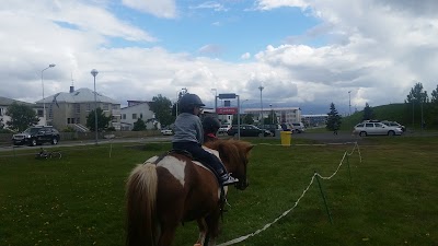 Photos of Saudarkrokur Campground