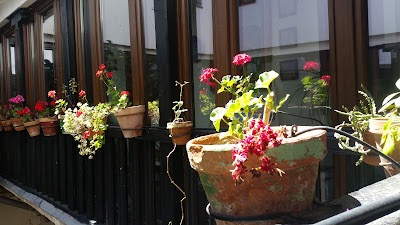 Photos of El Patio de Mi Casa