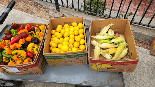 Mission Basilica - Father Serra's Food Pantry - Food Distribution Center 31611 El Camino Real, San Juan Capistrano, CA 92675