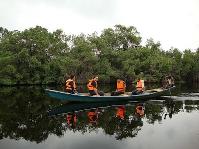 Photos of Omo Forestry Reserve