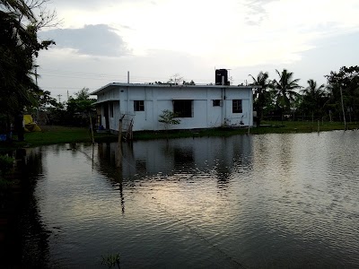Photos of Nasir Hauladar Mess (Apa Barri)