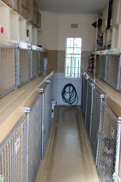 Photos of Mercury Street Veterinary Hospital