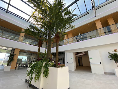Educa Business School