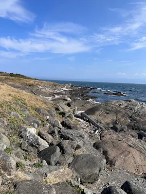 Harling Point