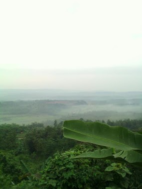 Taman Burung Jatibening Estate, Author: Yuyun Bobik