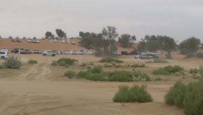 Photos of بر منتزه رمله البدع العين