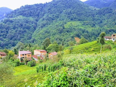 Hacıliman Konağı Of Hayrat Yeniköy