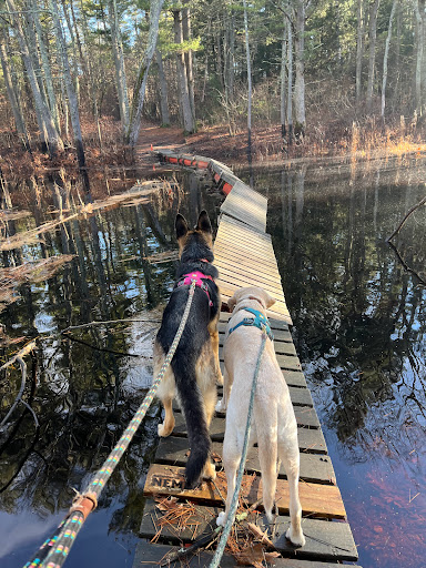 Greenbriar Recreation Area - Thumbnail