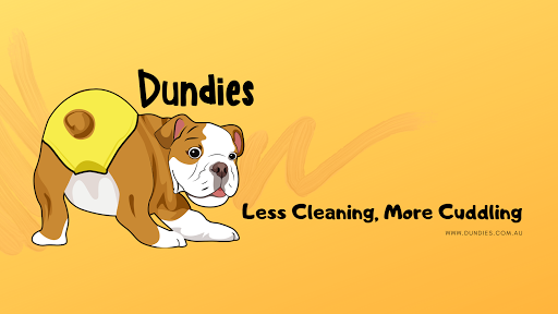 Dundies - Visual