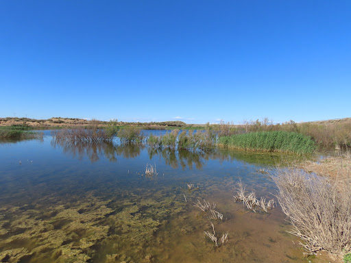 Lagunas - Visual