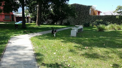 Photos of El Retiro Park