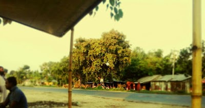 Photos of Razakar Mor Bus Stop