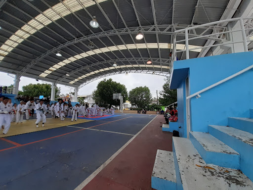 lineal "Coculco" Park - Thumbnail