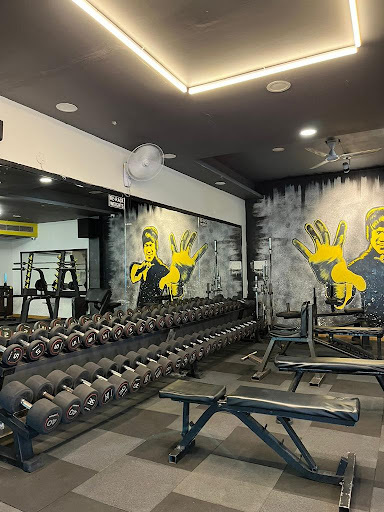 Level Xtreme Gym
