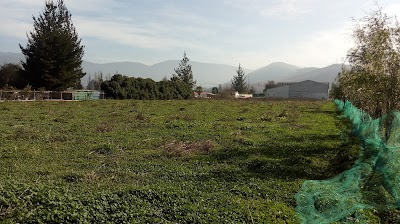 Photos of Sociedad Andes Flowers Limitada
