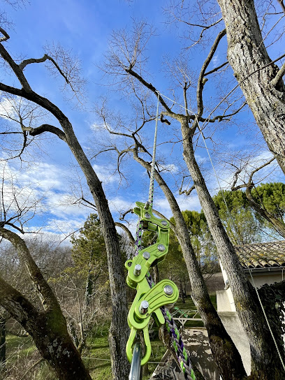 mdArbo – Arboriste grimpeur élagueur & scierie mobile à Romans-sur-Isère