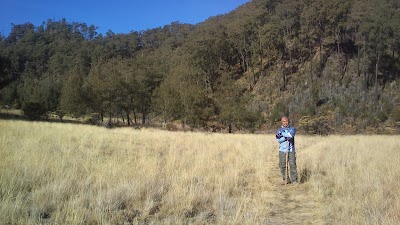 Photos of Sabana Lonceng, Gunung Argopuro