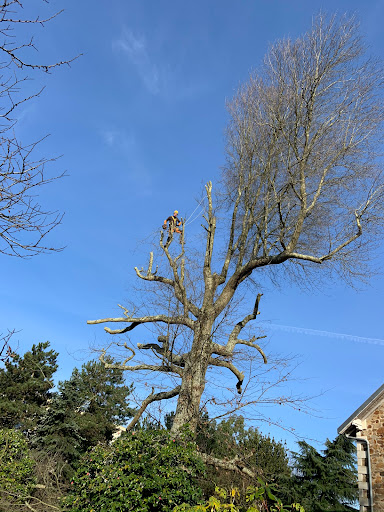 Photo de EDERA PAYSAGE | Paysagiste | Vannes - Sarzeau - Muzillac - Pénestin | Siège social à Saint-Aignan-Grandlieu (44860)