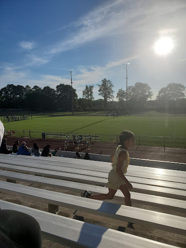 Badgett Stadium - Visual