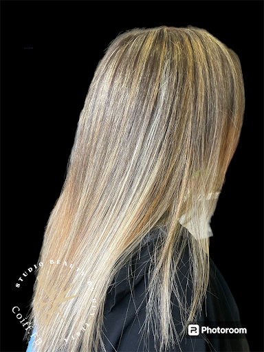 Beauty studio (110 Nattes) Gallery - France