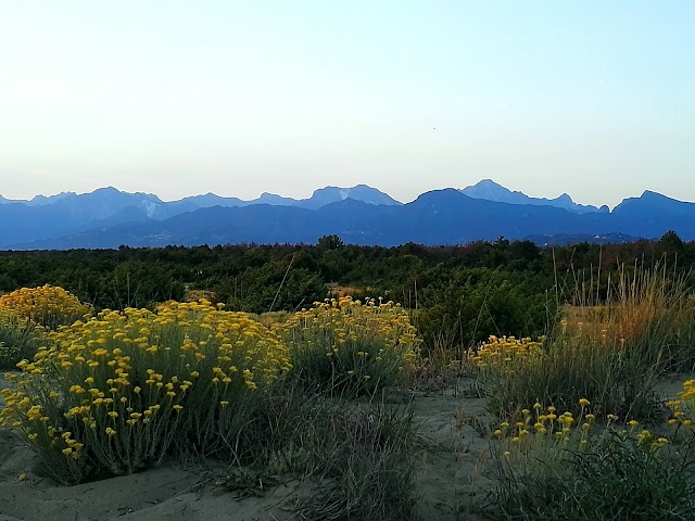 Spiaggia della Lecciona