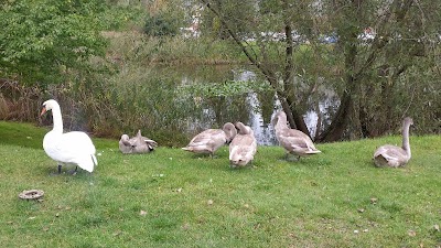 Photos of Saime , veikals, LaTS