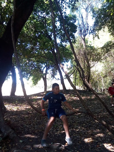 park