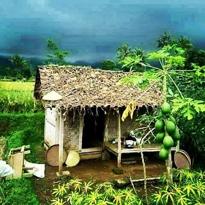 Photos of Naheen Agro