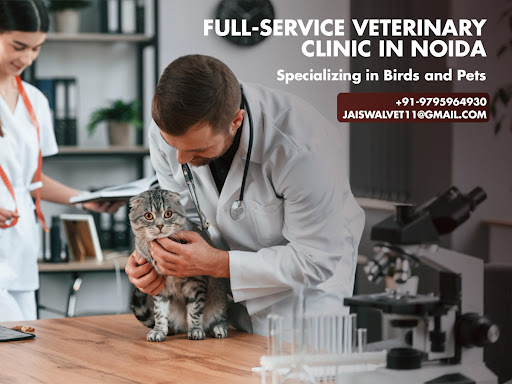 Full-Service Veterinary Clinic in Noida - Specializing in Birds and Pets post image
