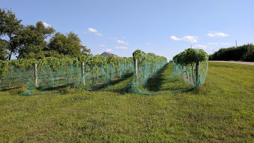 Deer Springs Winery - Thumbnail