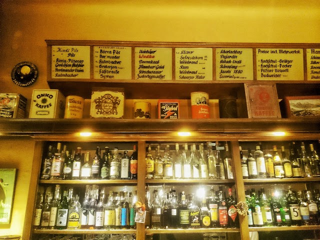 Möve im Felsenkeller