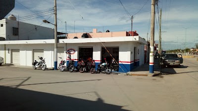 Photos of DINAMO