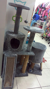 Shopping Pets Veterinary 3