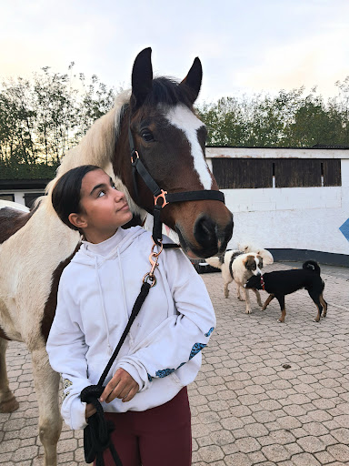 Centre Equestre Neuville Les Dames - Thumbnail
