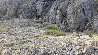 Photos of Hoffell Glacier hiking area parking lot