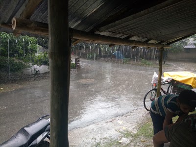 Photos of Mango Garden