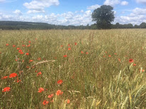 Emilie JEAUNEAU à Les Étilleux