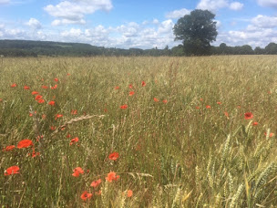 Photo n°1 de Emilie JEAUNEAU à Les Étilleux (Élevage de volailles)