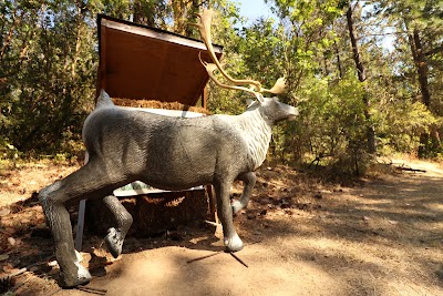 Josephine County Sportsman Association Gun Range