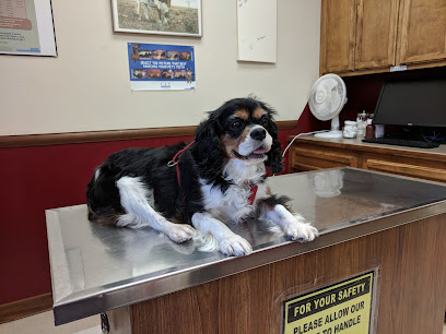 Altas Palmas Animal Clinic: Putnam Lorna S DVM