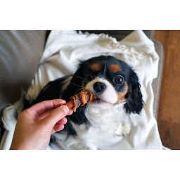 Photo n°20 de HOPE PET FOOD à Castellane (Magasin d'articles pour animaux)