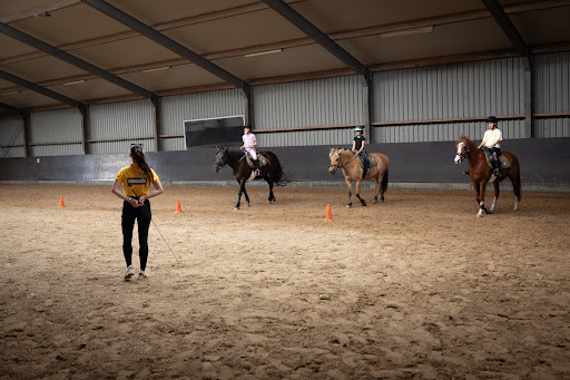 Holzik Stables Logo
