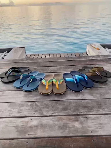 Scott Hawaii - Thumbnail