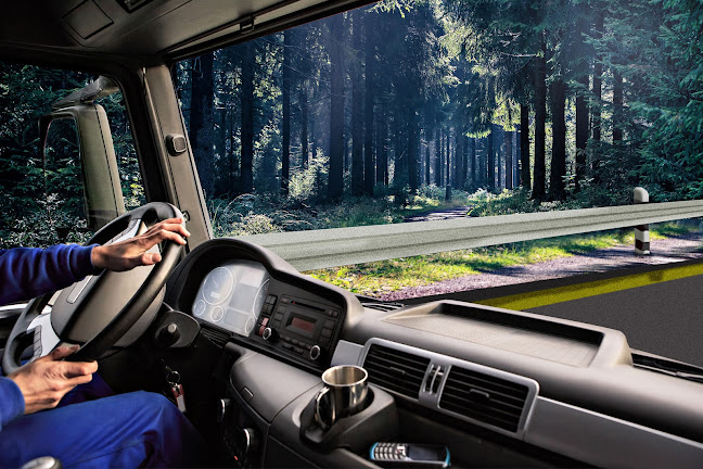 Comentarii opinii despre Delta HR - praca dla kierowców w Niemczech