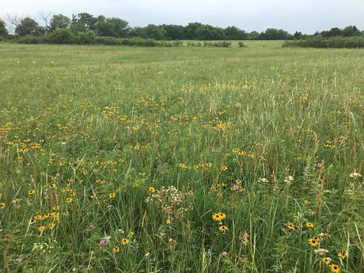 Fertig Tallgrass Prairie