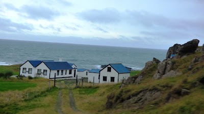 Photos of Illugastadir seal watching