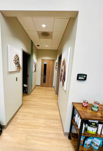 Thornblade Animal Hospital - Thumbnail