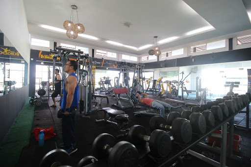 Fitness Kingdom