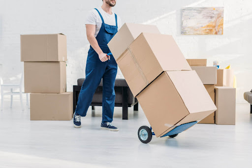 DP Moving & Storage - Thumbnail